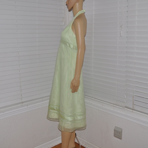 Organza Tea-Length Dress w/ Satin Ribbon Detailing - Picture 5 of 8